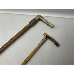 Collection of hunting crops and riding whips, including horn handle examples with silver cuffs