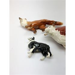 Three Beswick figures, comprising CH of Champions, Hereford Bull, Fox, and Border Collie. (3). 