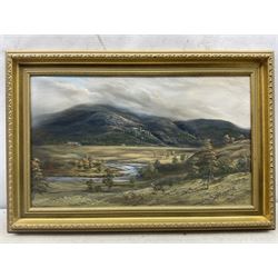 Willie Forbes (Scottish Contemporary): Stag and Deer in the Highlands, oil on canvas signed and dated '99, 34cm x 57cm 