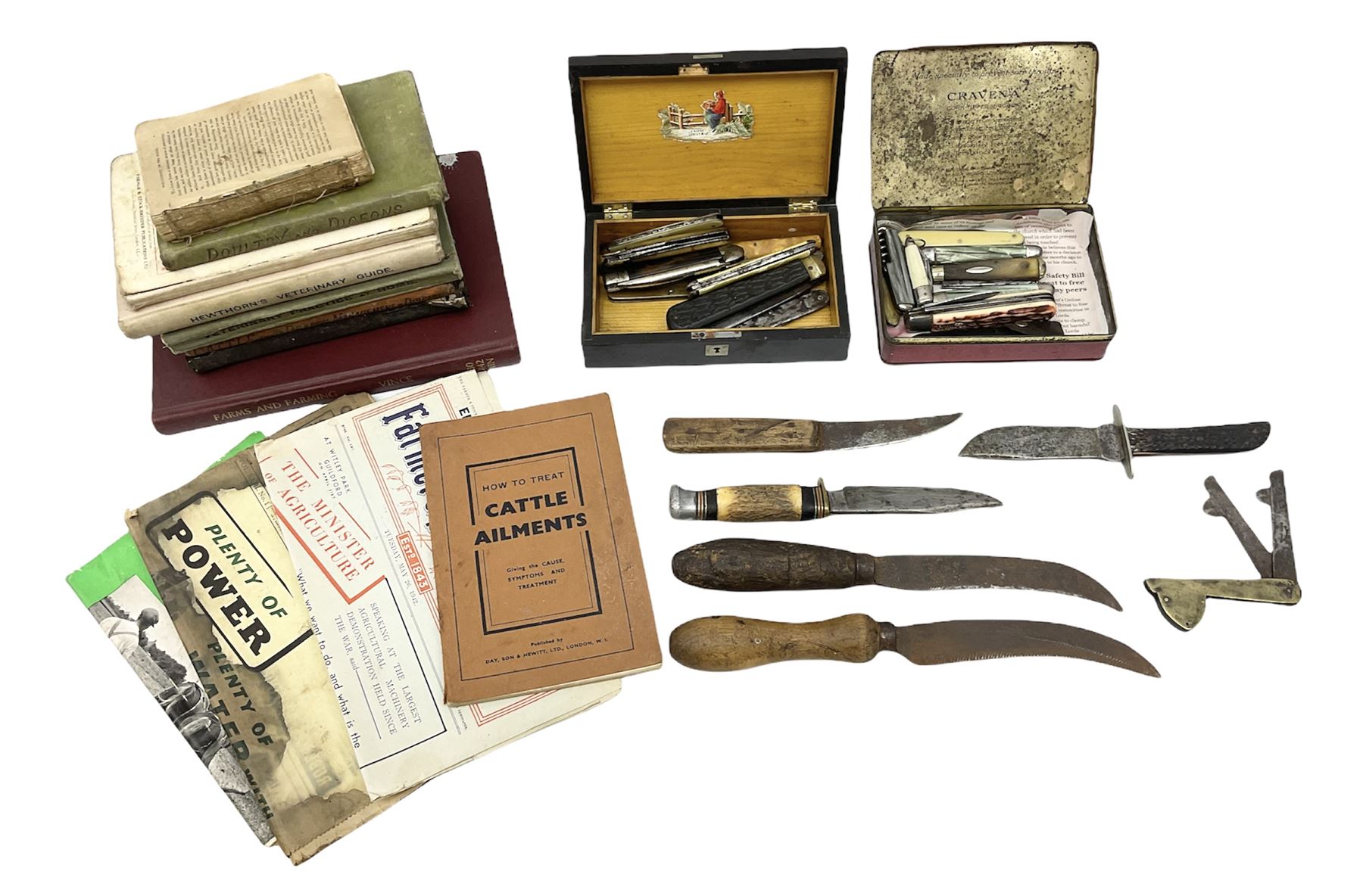 Veterinary fleams and other tools together with various veterinary books, including Hewthorn's Veterinary Guide, Farms and Farming - Vince, Veterinary Practice at Home, etc., and a collection of folding pocket knives, pen knives, hunting knife, etc.