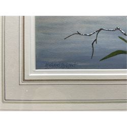 Richard Robjent (British 1937-): 'King Fisher and Flag', watercolour signed, titled and dated 2002 verso 17cm x 25cm 