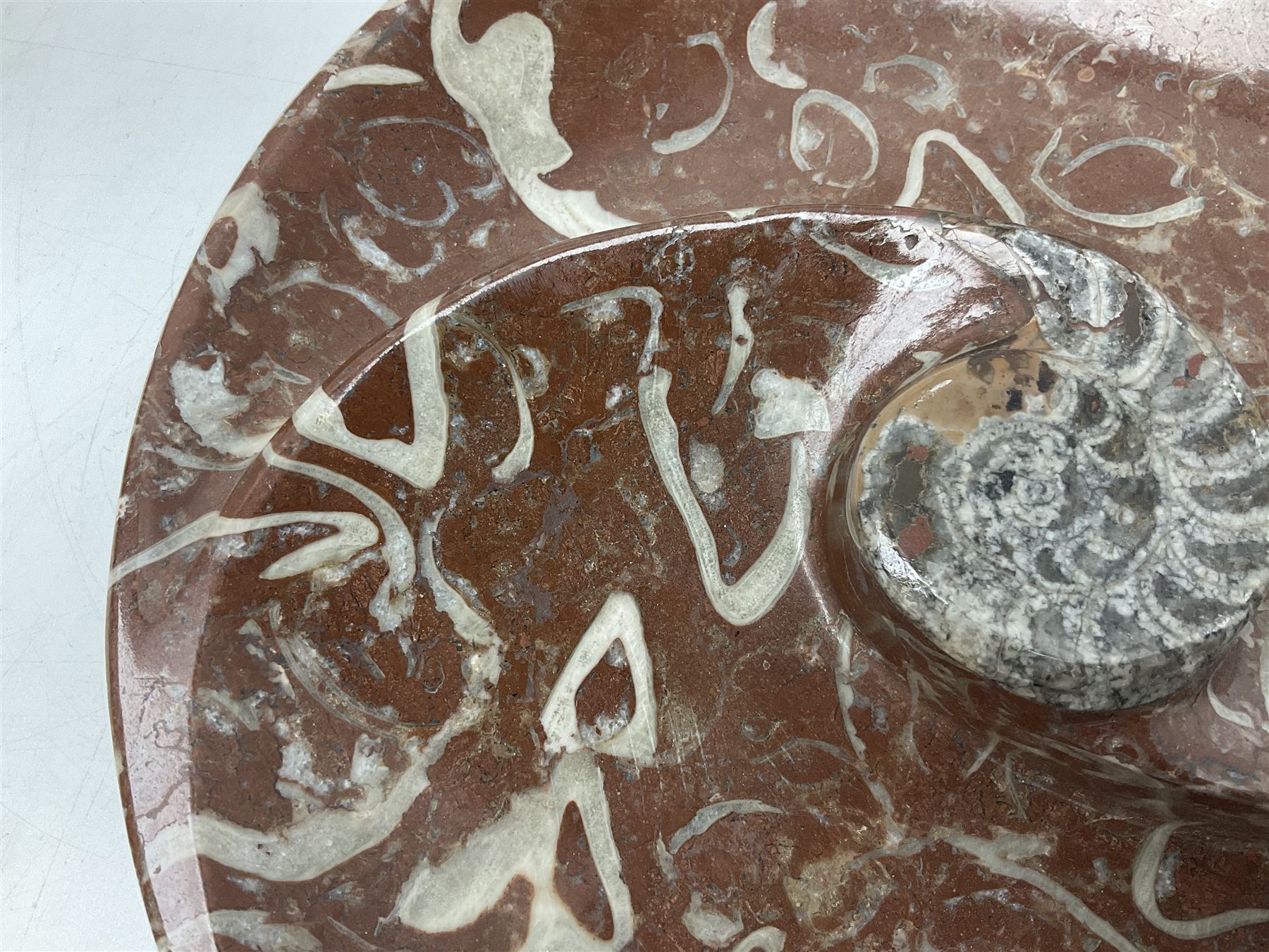 Large circular dish with a raised Goniatite to the centre and Orthoceras inclusion, age: Devonian period, location: Morocco, D30cm