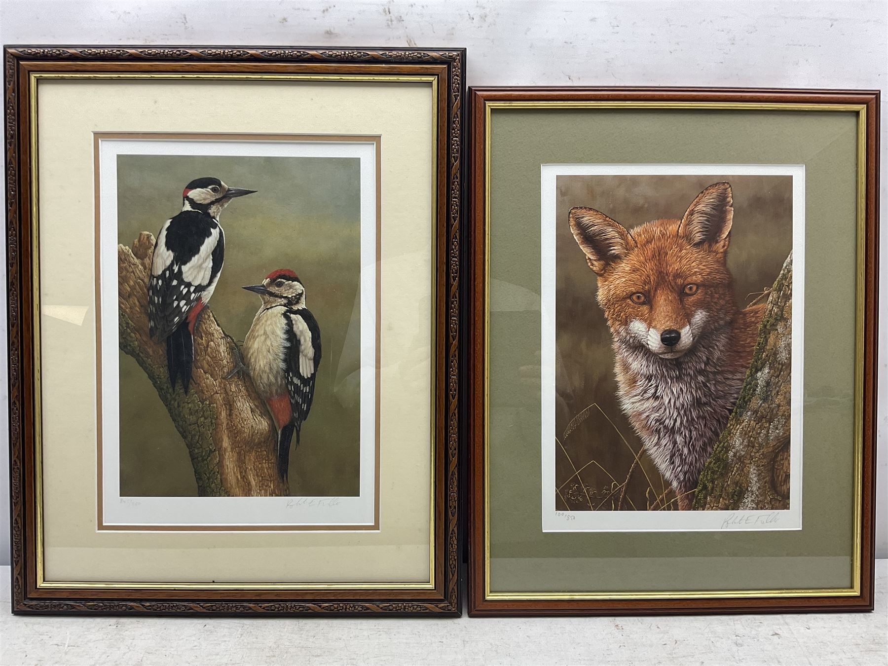 Robert E Fuller (British 1972-): Great Spotted Woodpeckers and 'Fox At Dawn', two limited edition colour prints signed and numbered 845/850 and 100/850, respectively, max 34cm x 24cm (2)
