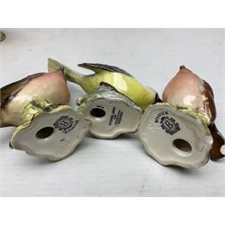 Group of Beswick figures of birds, comprising kingfisher no 2371, thrush no 2308, owl no 2026, and nine smaller bird figures to include greenfinch, wren etc