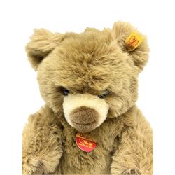 Five modern collector's teddy bears - Steiff 2001 bear No