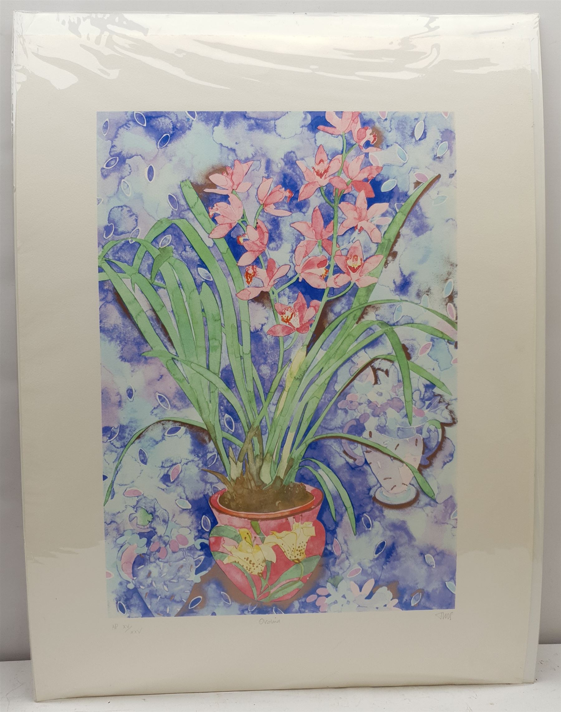 Tanya Short (British 1955-): 'Orchid', artist's proof screenprint signed with initials titled and numbered XV/XXV, 58cm x 40cm with full margins (unframed)