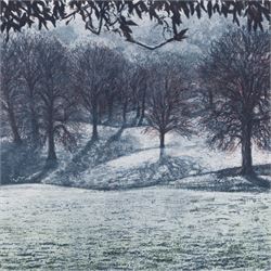 Frances St Clair Miller (British 1947-): 'Moccas Park - January' Herefordshire,  limited e...
