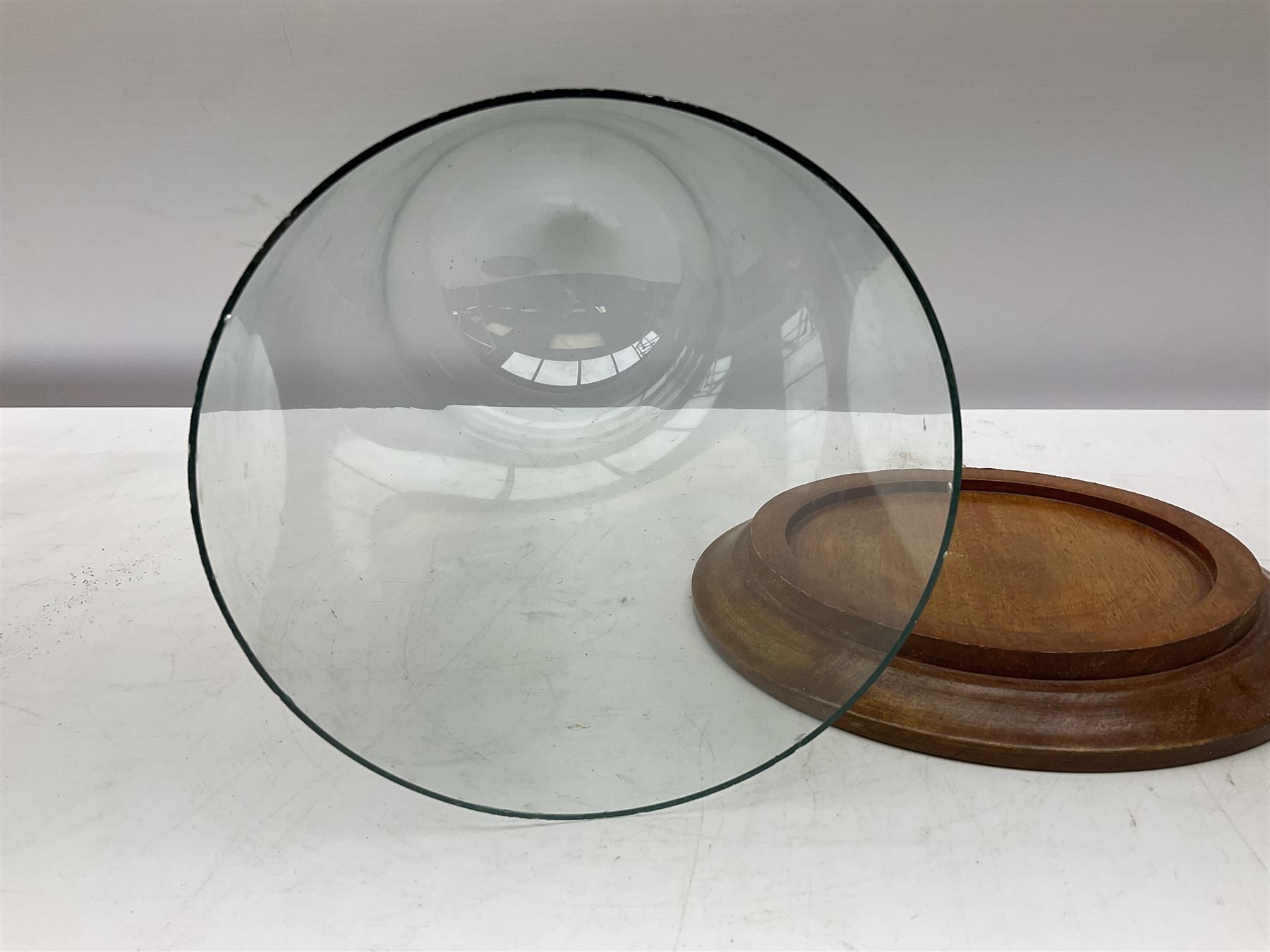 Glass dome display covers on a circular wooden base, H46cm