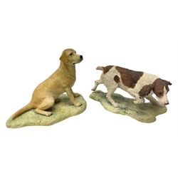 Two Border fine Arts figures, a seated golden labrador and a standing spaniel, both signed Ayres, tallest example 11cm 