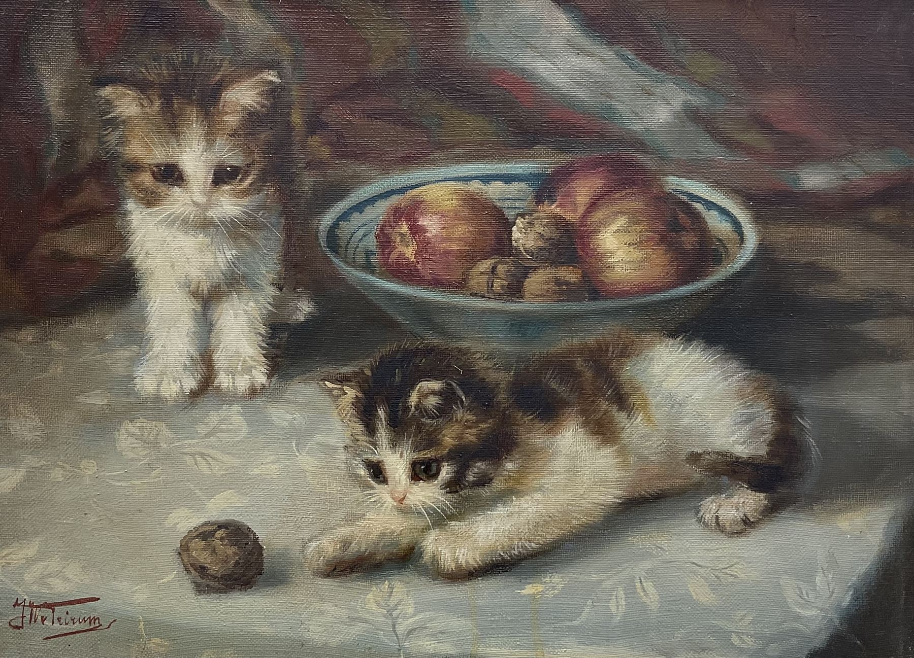Johannes Wouterus Van Trirum (Dutch 1924-2011): Kittens and a Pesky Walnut, oil on canvas signed 18cm x 38cm 
