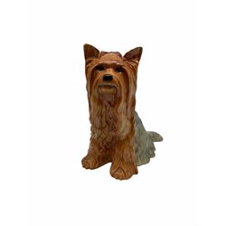 Beswick fireside Yorkshire terrier dog model no 2377 H25.5cm, together with a pair of staffordshire style white spaniels H30cm, two Mella ware terriers etc.  