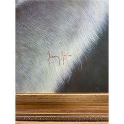 Johnny Gaston (British 1955-): The White Wolf, acrylic on panel signed 49cm x 39cm