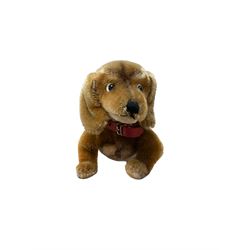 Steiff Hexie dachshund dog, without tag or button, together with mary rose model, die cast models etc 
