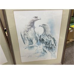 After Joan Beuche (South African 20th century) Eagles, set of six coloured prints (6)
