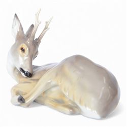 Nymphenburg, recumbent roebuck, model no. 423, with impressed mark beneath, H14cm