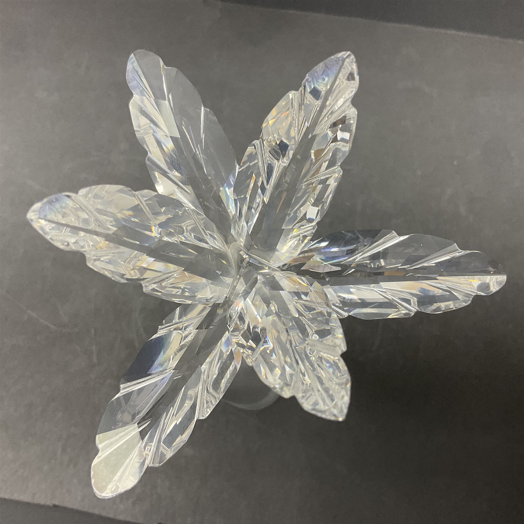 Swarovski Crystal animals, comprising camel and lion, both upon frosted crystal bases, together with Swarovski Crystal palm tree, upon similar frosted crystal base, tallest H14cm