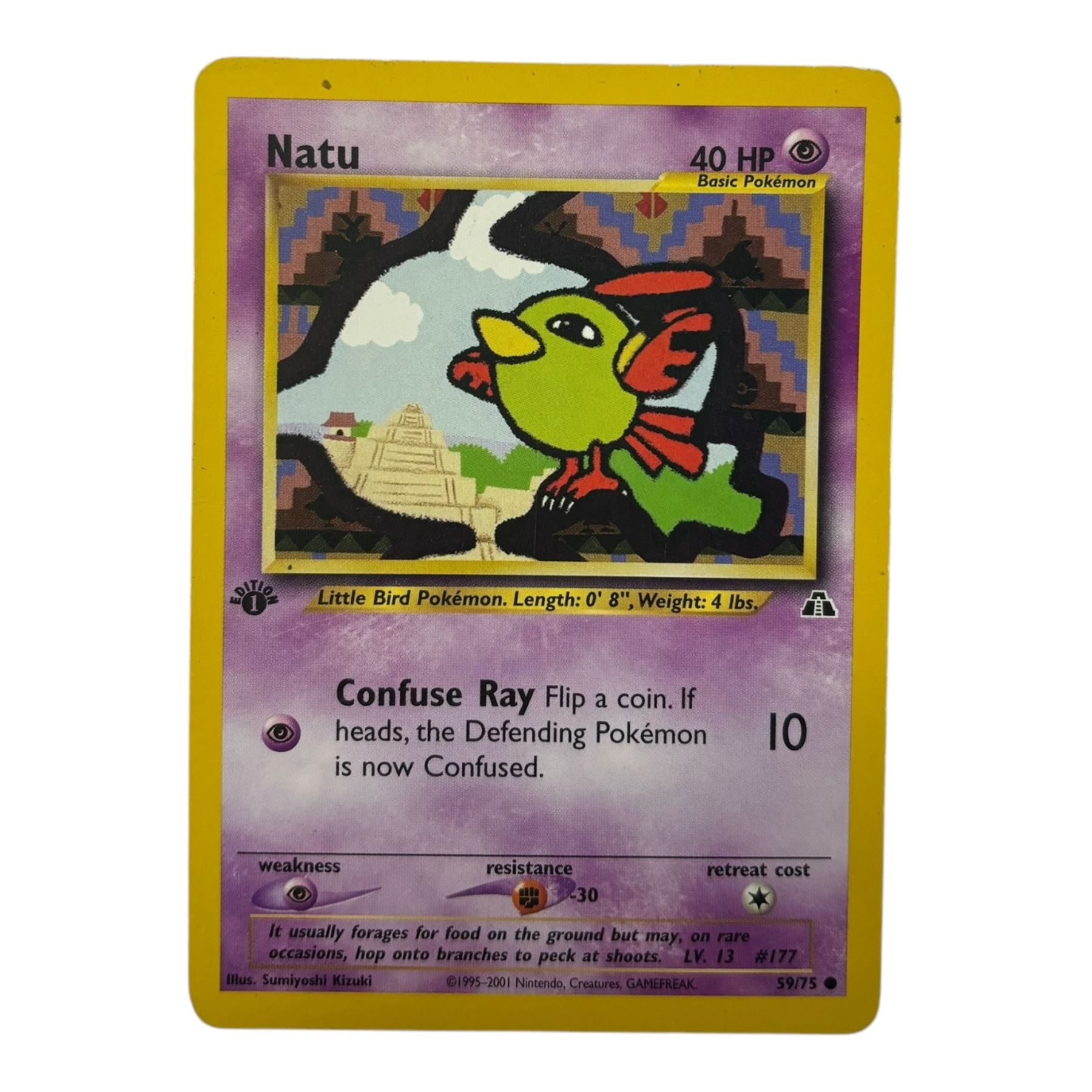 Collection of mainly vintage Pokemon cards including Charizard Base Set Holographic number 4/102 and two Ancient Mew 2000 promo cards, some housed within plastic wallets and some loose