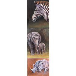Continental School (Contemporary): Rhinos Elephants and a Zebra, set of three portraits unsigned, max 60cm x 76cm (two unframed)