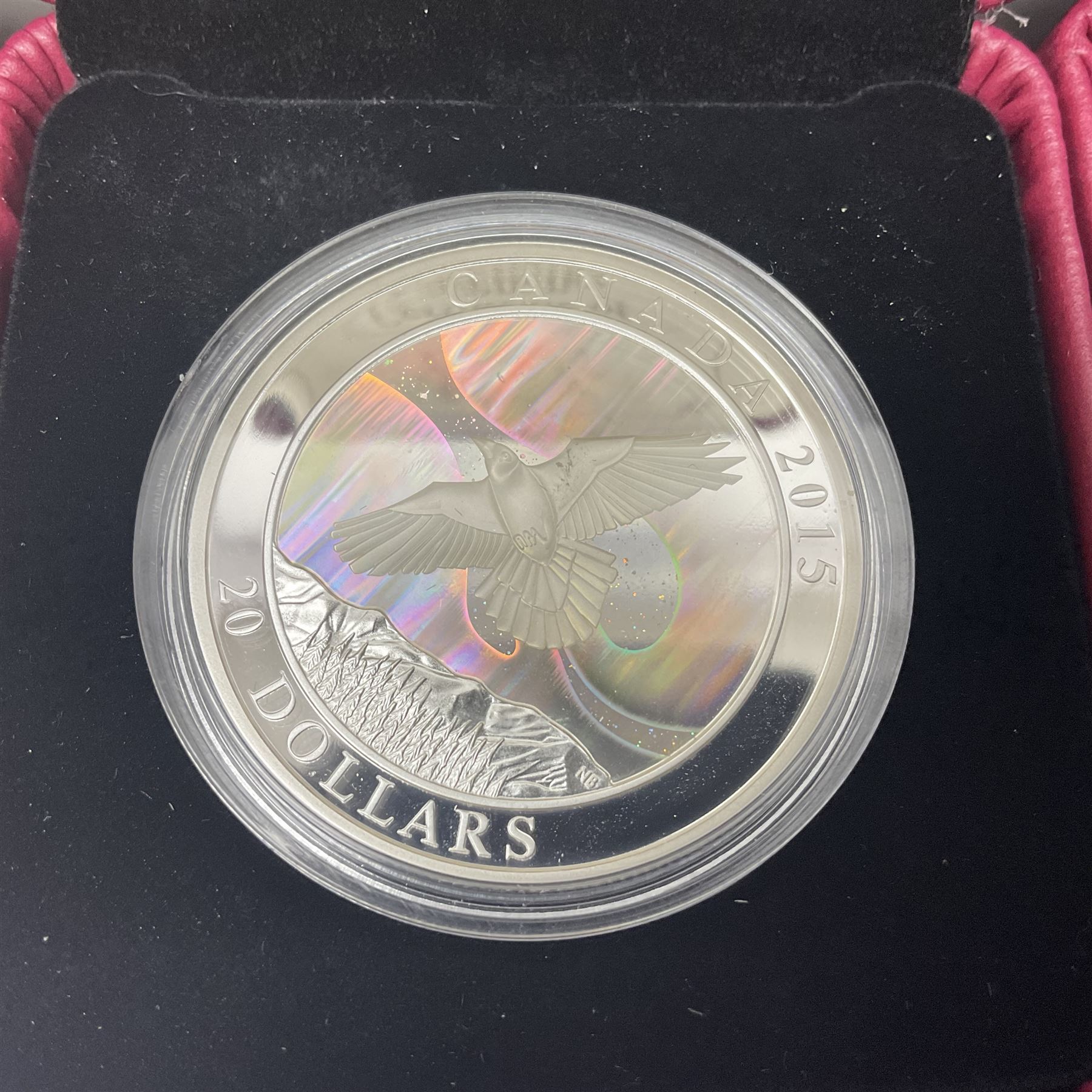 Eleven Royal Canadian Mint fine silver twenty dollar coins, including 2016 'A Royal Tour', 2017 'A Platinum Celebration', 2018 'A Nation's Mettle The Dieppe Raid', 2019 'Give Peace A Chance 50th Anniversary' etc, all cased with certificates