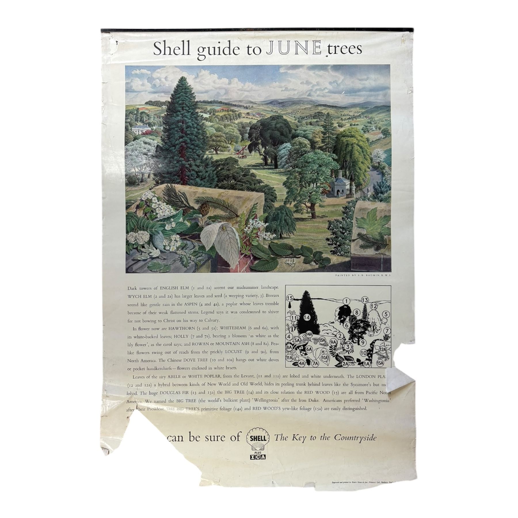 Collection thirty seven vintage county guide posters produced by Shell, H76cm, W51cm