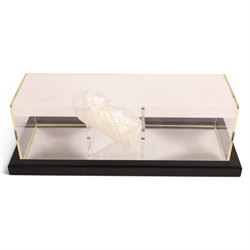 Limited Master Replicas Star Wars Luke Skywalker's Lightsaber no. SW-110, 1:1 scale, in box with outer cardboard sleeve, with certificate, separate acrylic display case and plaque, limited edition no. 897/2500