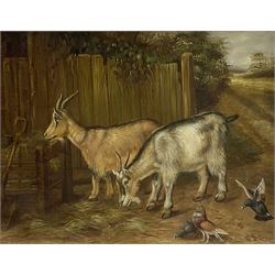 Vincent Hunter (20th century): Goats and Pigeons, oil on panel signed 19cm x 24cm 