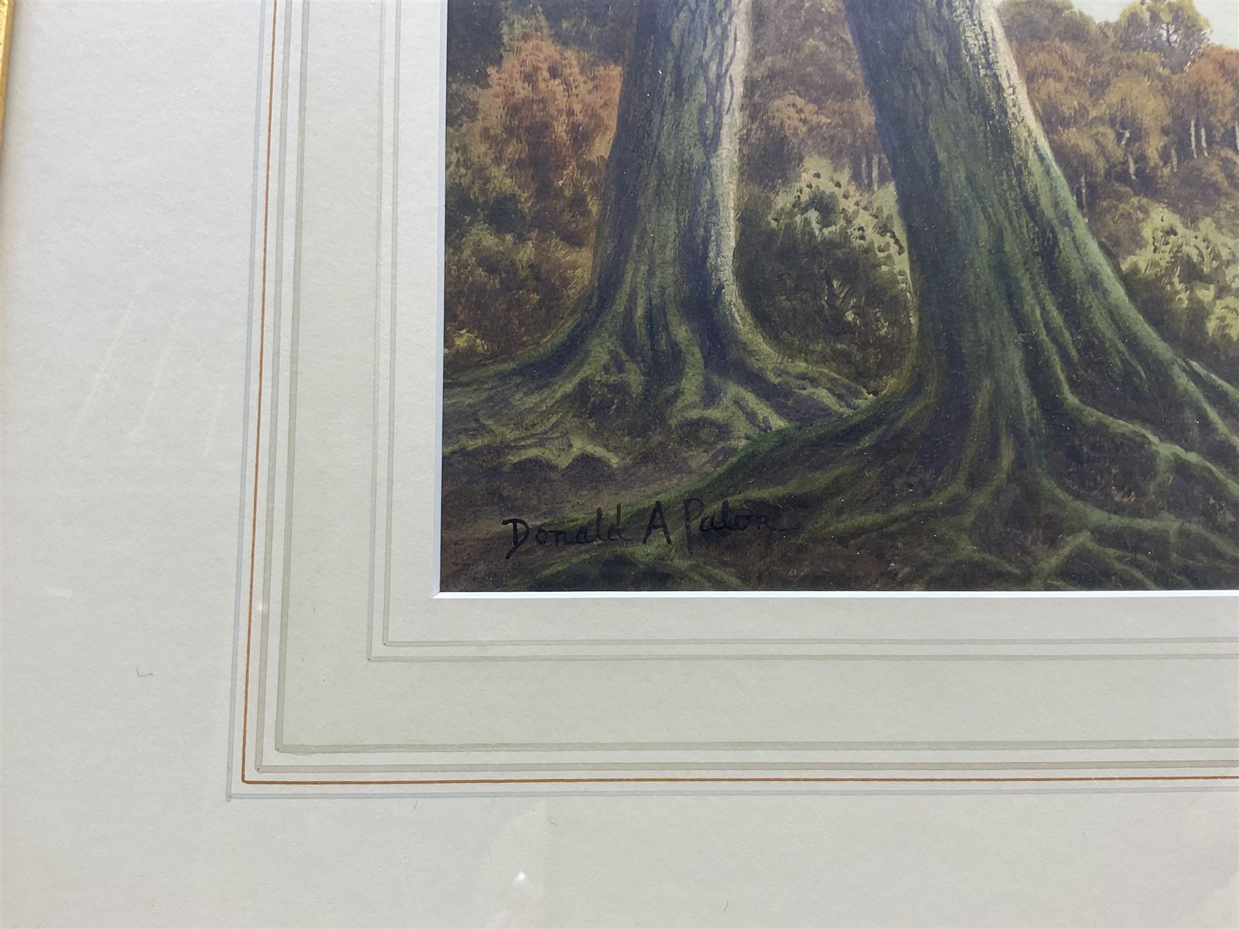 Edward Horace Thompson (AKA Donald A Paton) (British 1879-1949): 'Loch Ailort - Early Autumn', watercolour signed with pseudonym 30cm x 60cm 
Provenance: private collection, purchased James Alder Fine Art, Hexham. Thompson used the name Donald Paton when he painted Scottish scenes, presumably for a different agent than the name he used for his more common Lake District views.