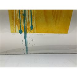 Charlotte Cornish (British 1967-): 'Equating I', screenprint signed titled and numbered 4/150 in pencil 76cm x 47cm (unframed)