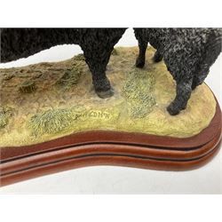 Border Fine Arts figures, to include Galloway Bull, A2692, Galloway Cow & Calf, A3790, Well Warmed, A1454, Found Safe, A0602 etc (7) 