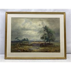 Frederick Dove Ogilvie (British 1850-1921): A Windswept Moor, watercolour signed with initials and dated 1909, 49cm x 70cm