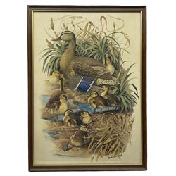David Binns (British 1935-2020): Mother Duck and Ducklings, watercolour signed and dated '69, 70cm x 52cm