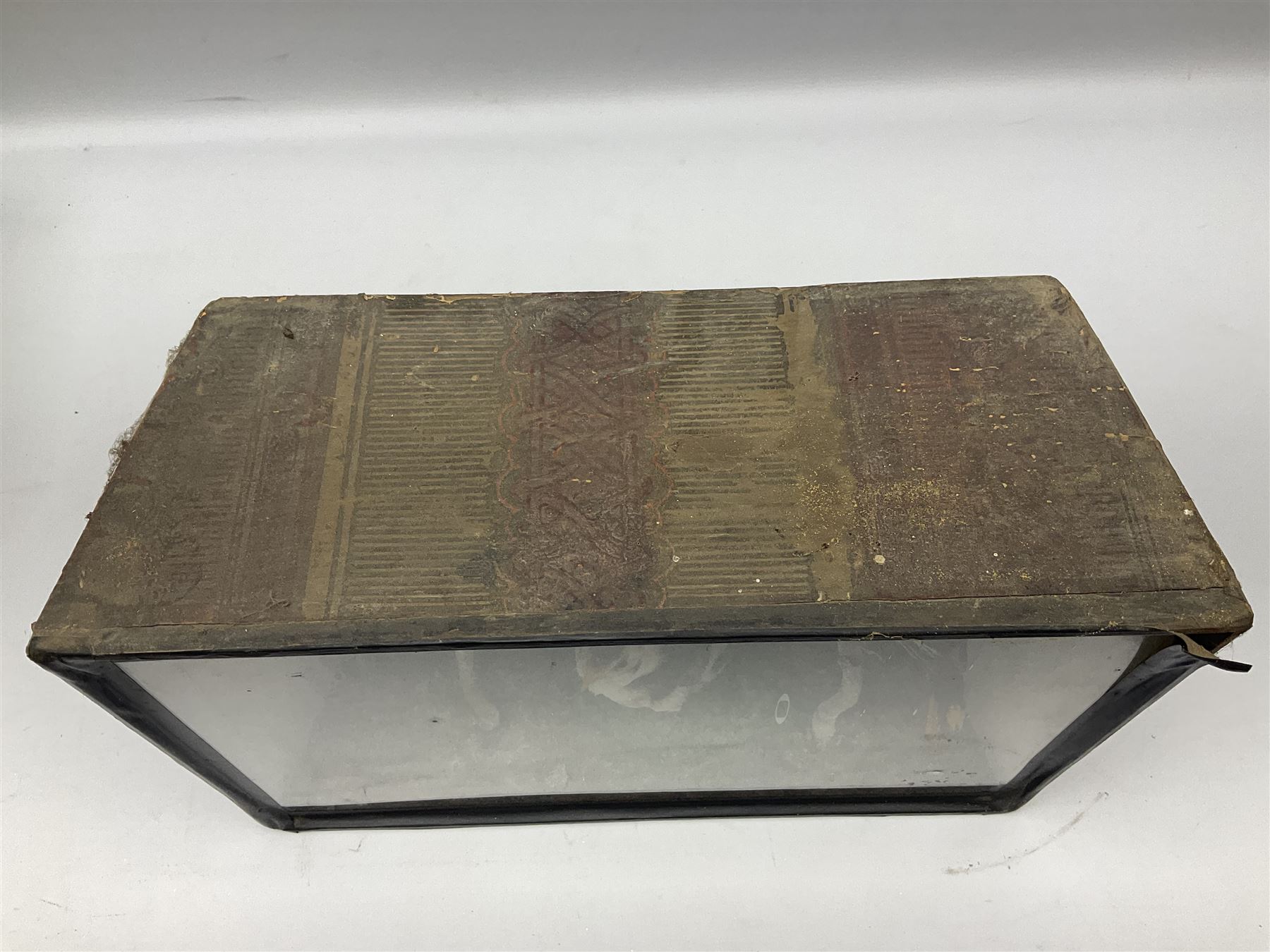 Taxidermy; Victorian cased display of birds, comprising Scarlet Tanager (Piranga olivacea), Campo Troupial (Icterus jamacaii) and Snow Bunting (Plectrophenax nivalis), amidst a naturalistic setting, encased within an ebonised single pane display case, H23cm, L35cm