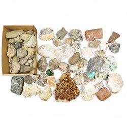 Quantity of assorted fossils, minerals etc