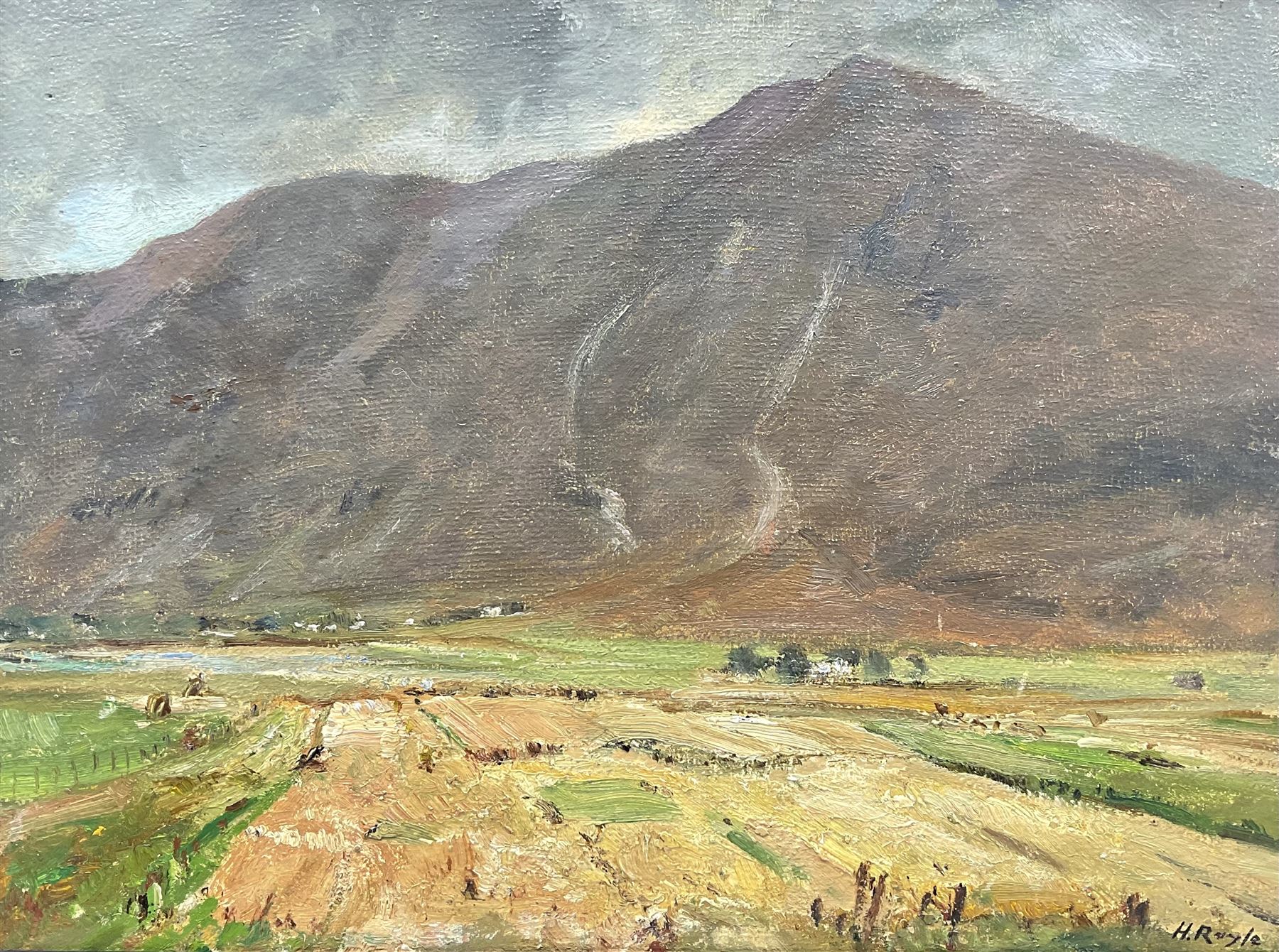 Herbert F Royle (British 1870-1958): Scottish Upland Fields, oil on board signed 30cm x 40cm