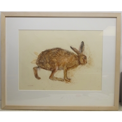 Lara Scouller (British 1983-): 'Brown Hare', pastel signed, titled and dated 2015 on label verso 51cm x 71cm 
Provenance: with Panter & Hall, London, label verso
