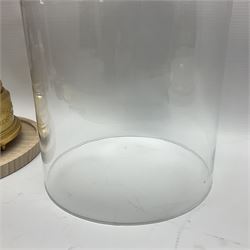 Swiss Reuge Music bird cage automaton music box, the bird with articulated head and beak, in a gilt brass cage, with a glass dome and stand, H30cm