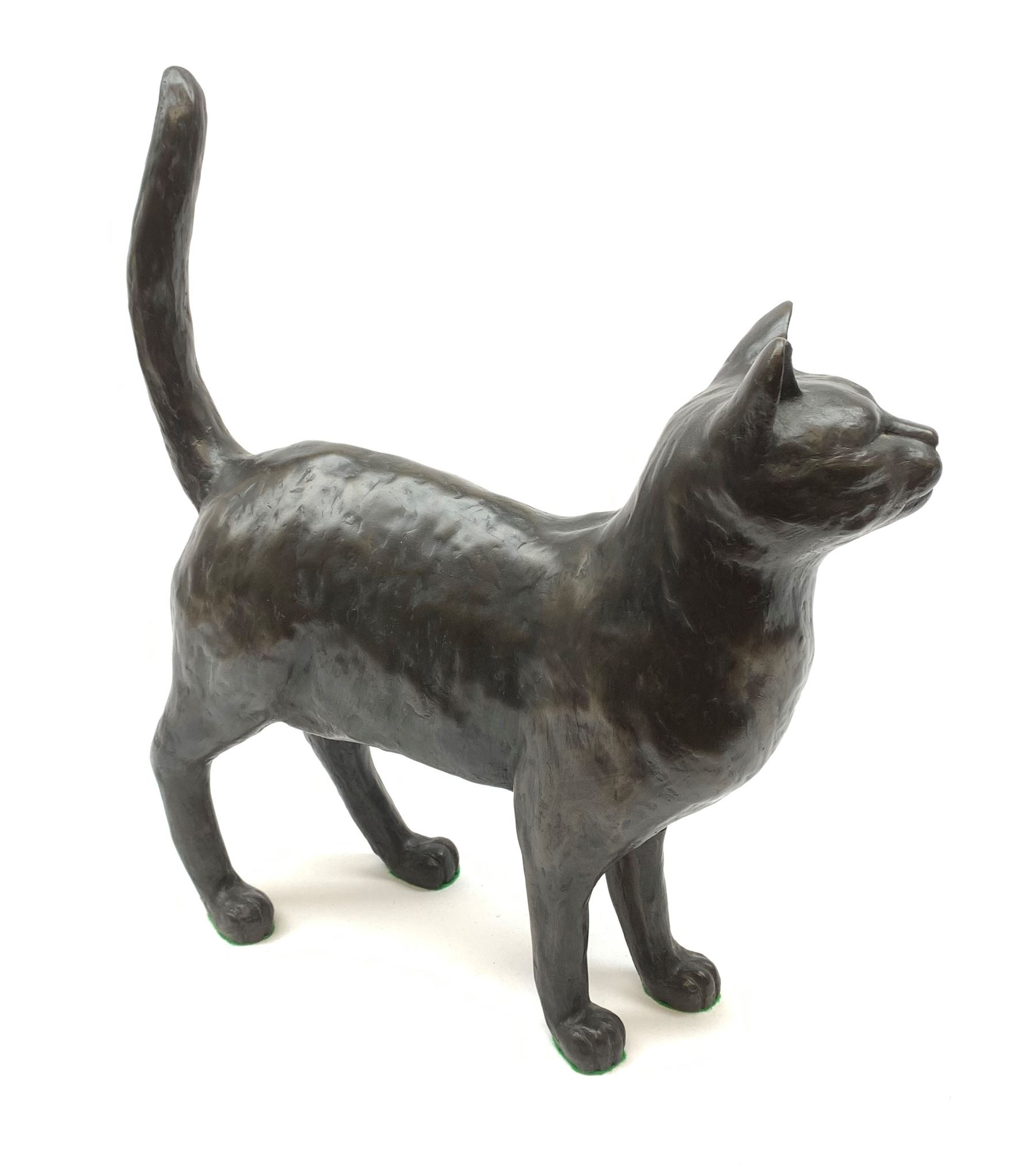 A large limited edition bronzed model of a cat, signed Peter Close 271/500, H42cm.