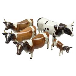 Five Beswick figures of cattle Comprising Ayrshire Bull Ch Whitehill Mandate, no 1454B, three Ayrshire Cow Ch Ickham Bessie, no 1350 and Ayrshire Calf, no 1249B, all with printed marks beneath