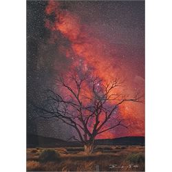 Peter Lik (Australian 1959-): 'Stargazer', limited edition ilfochrome photoprint signed and numbered 189/950, 67cm x 46cm