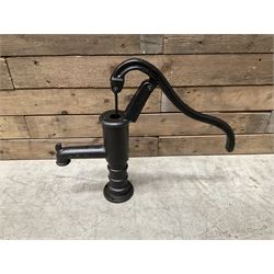 Small cast iron water pump