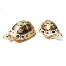 Three Royal Crown Derby paperweights, comprising two Yorkshire Rose Tortoises, and a Terrapin, all with gold stoppers, all boxed (3)