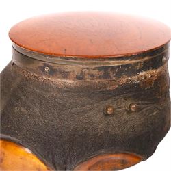 Taxidermy: 19th century elephant foot cigar case, the hinged wooden lid opening to reveal two lidded compartments