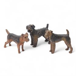 Three cold painted bronze terriers, two Airedales and one Kerry Blue, the latter stamped on the
underside 'Austria', largest W7.5cm