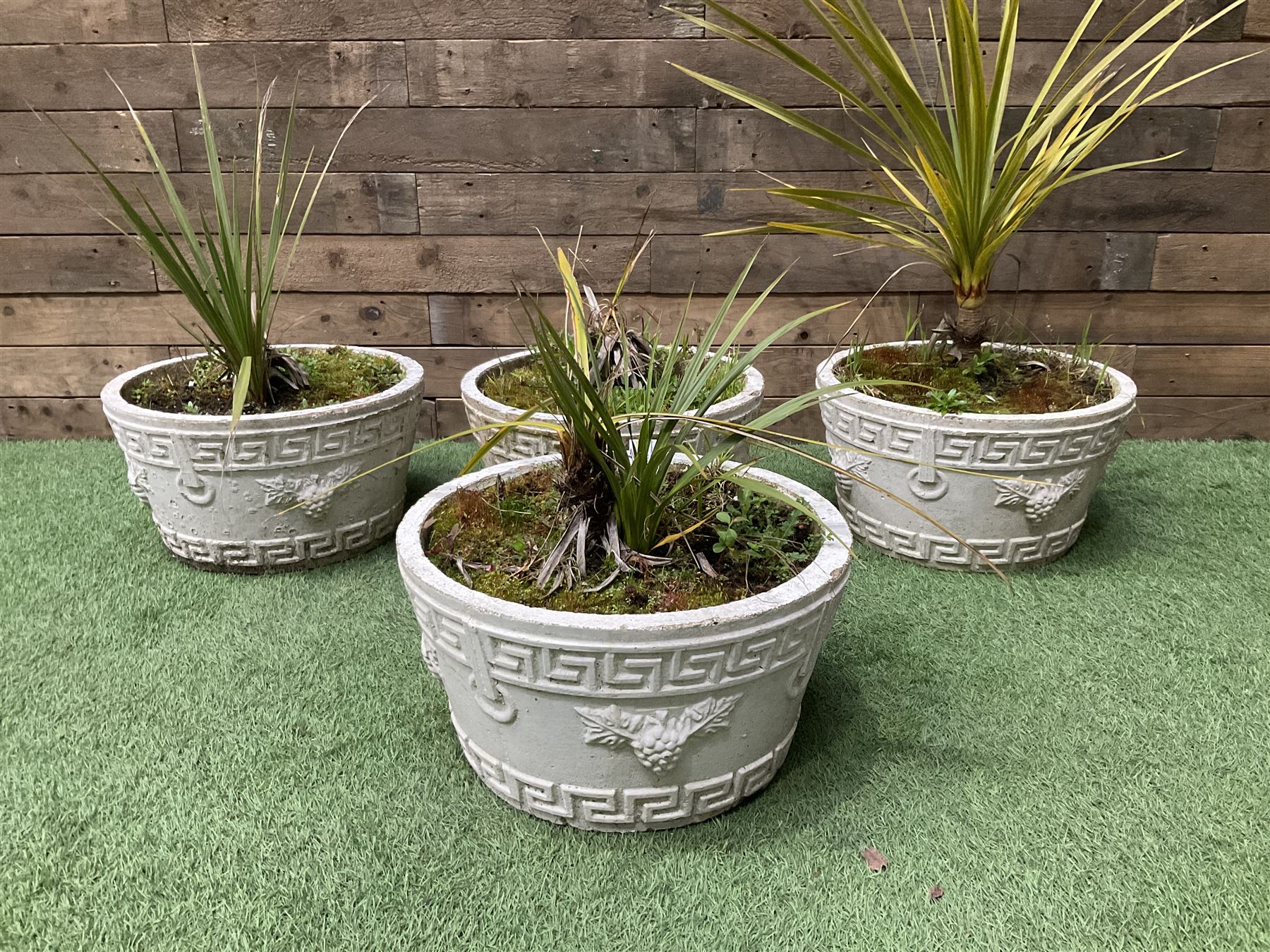 Four cast stone circular planters in white - THIS LOT IS TO BE COLLECTED BY APPOINTMENT FROM DUGGLEBY STORAGE, GREAT HILL, EASTFIELD, SCARBOROUGH, YO11 3TX