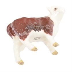 Beswick Hereford cows family group, comprising Bull, Ch. of Champions 1363, Hereford cow Ch of Champion 1360, and calf 1827, together with another Hereford Bull