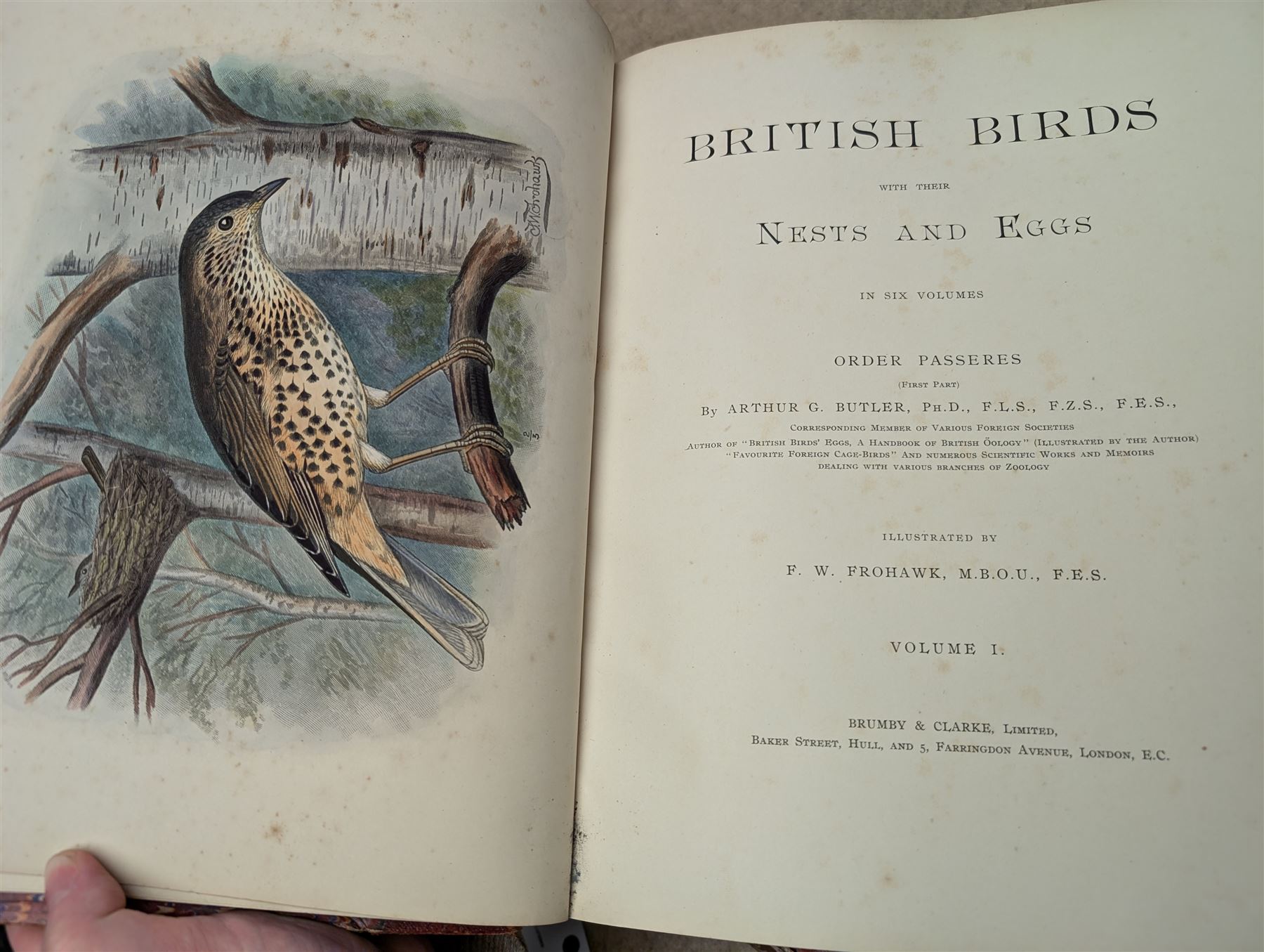 British Birds with their Nests and Eggs, three volumes