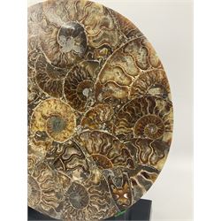 Polished ammonite plate, formed of individual ammonites age; Jurassic period, upon an ebonised stand, D27cm