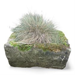 19th century stone trough with five potted plants