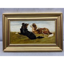 JS Park (British 19th Century): Border Collies, oil on board signed and dated 1895, 20cm x 39cm 
