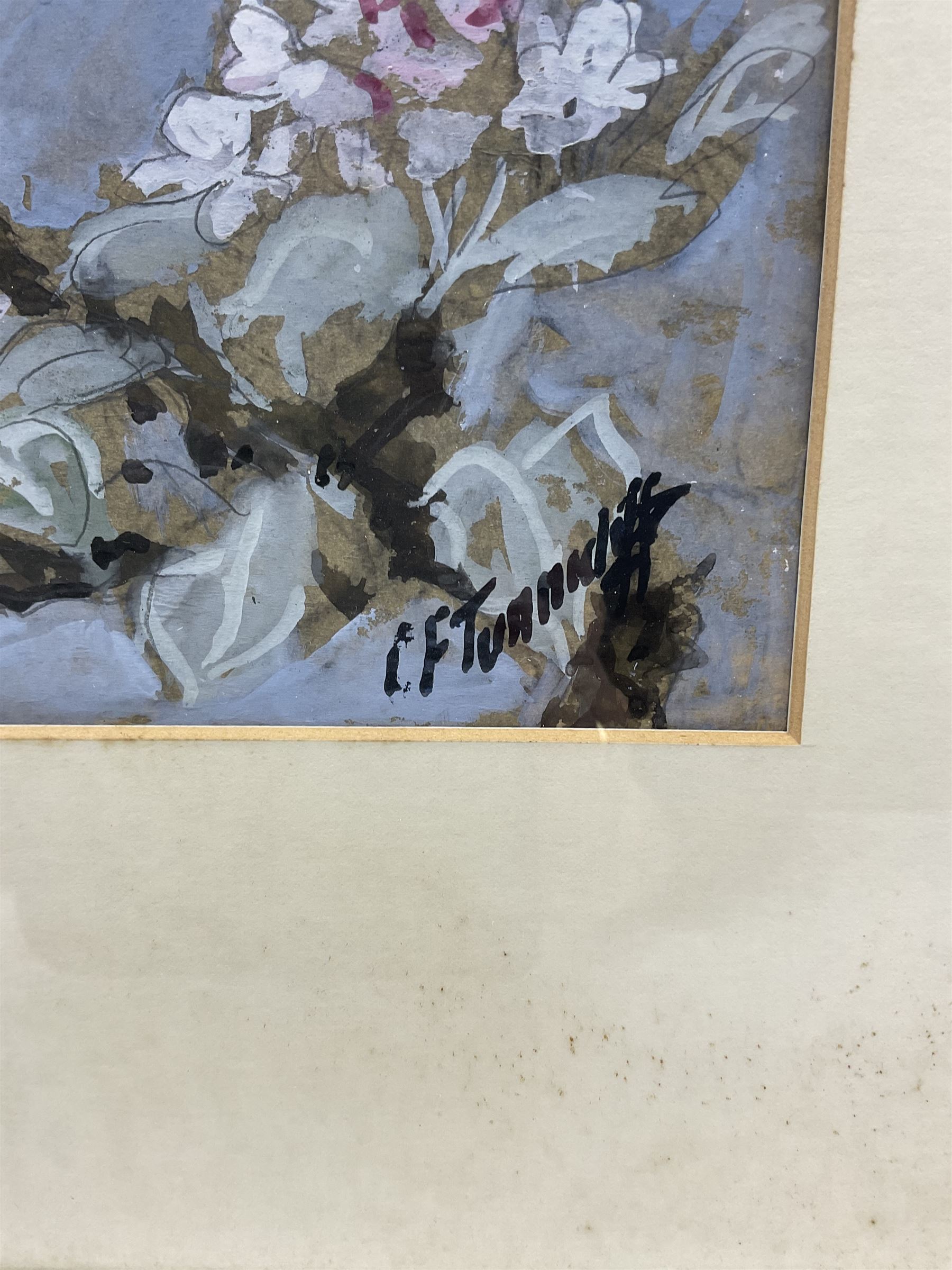 Charles Frederick Tunnicliffe (British 1901-1979): Bullfinches, gouache signed, titled on Welsh Arts Council label verso 31cm x 21cm